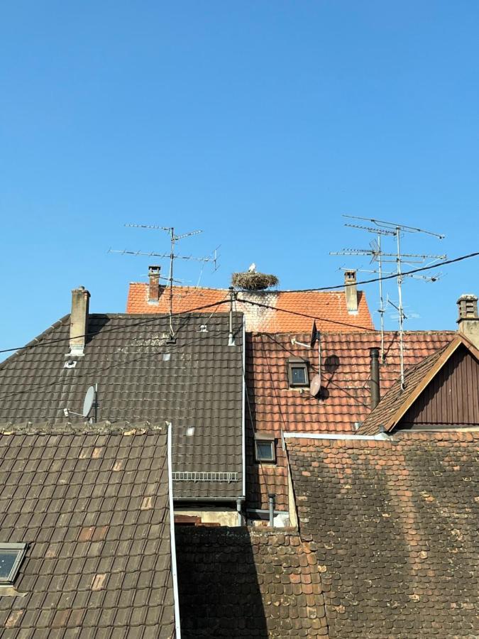 Sous Les Toits Avec Garage Et Terrasse A Ribeauville Exterior foto